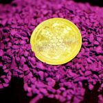 gold round coin on red textile